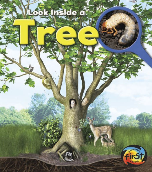 Tree: Look Inside