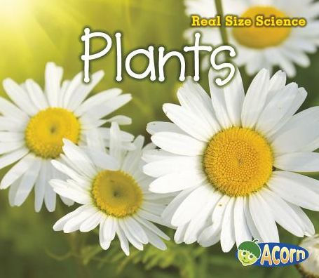 Plants (Real Size Science Series)