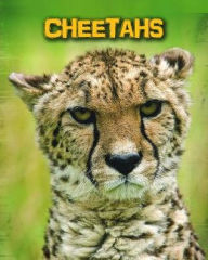 Title: Cheetahs, Author: Charlotte Guillain