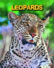 Title: Leopards, Author: Claire Throp