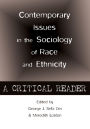 Contemporary Issues in the Sociology of Race and Ethnicity: A Critical Reader
