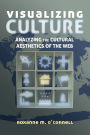 Visualizing Culture: Analyzing the Cultural Aesthetics of the Web