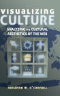 Visualizing Culture: Analyzing the Cultural Aesthetics of the Web