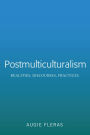 Postmulticulturalism: Realities, Discourses, Practices