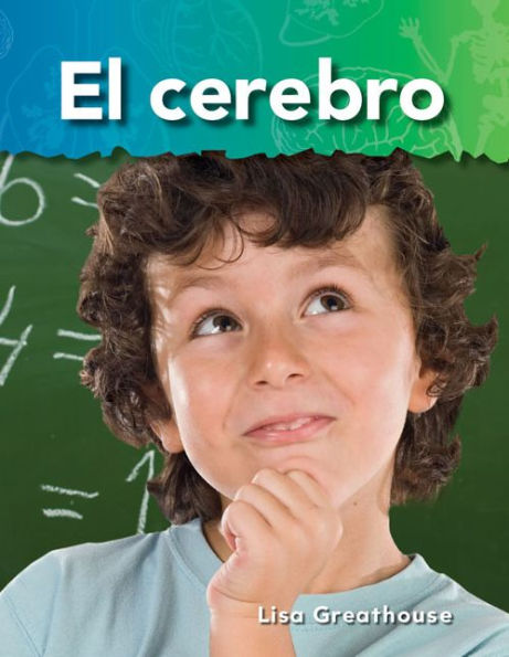 El cerebro