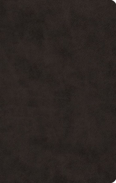 ESV Large Print Value Thinline Bible (TruTone, Black)