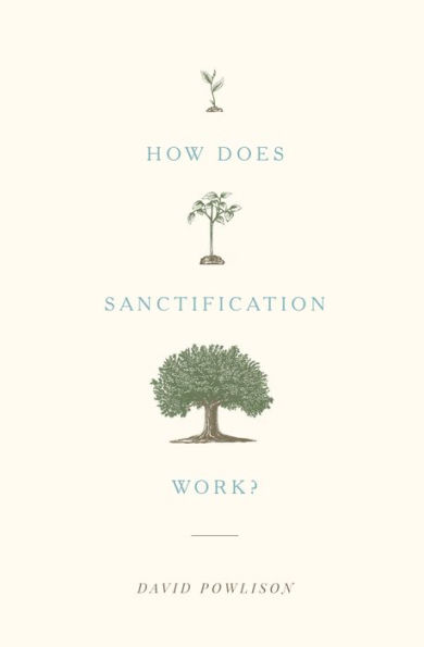 How Does Sanctification Work?