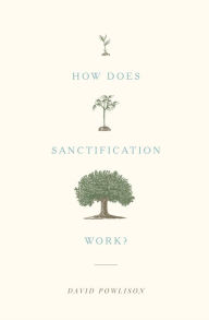 Title: How Does Sanctification Work?, Author: David Powlison