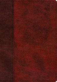 Title: ESV Single Column Journaling Bible, Large Print (TruTone, Burgundy/Red, Timeless Design), Author: Crossway