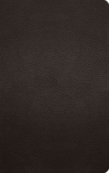 ESV Large Print Personal Size Bible (Buffalo Leather, Deep Brown)