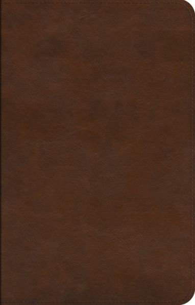 ESV Concise Study BibleT (TruTone, Brown)