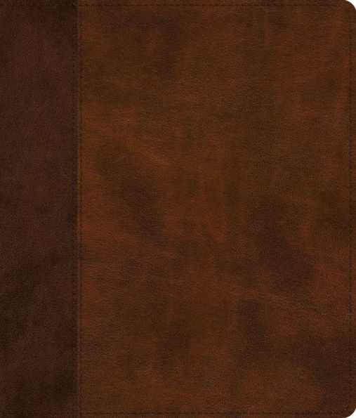 ESV Journaling Bible (TruTone, Brown/Tan, Timeless Design)