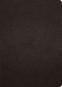 ESV Study Bible, Large Print (Buffalo Leather, Deep Brown)