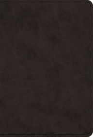Title: ESV Value Large Print Compact Bible (TruTone, Black), Author: Crossway