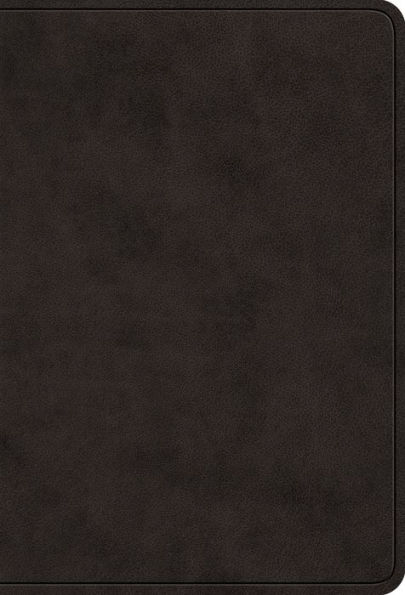 ESV Value Large Print Compact Bible (TruTone, Black)
