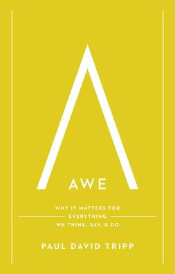 Awe: Why It Matters for Everything We Think, Say, and Do (with Study Questions)