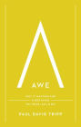 Awe: Why It Matters for Everything We Think, Say, and Do (with Study Questions)