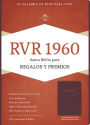 RVR 1960 Biblia para Regalos y Premios, borgoña imitación piel