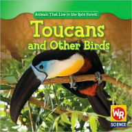 Title: Toucans and Other Birds, Author: Julie Guidone