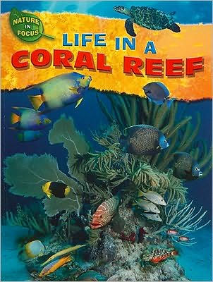 Life in a Coral Reef by Jen Green, Hardcover | Barnes & Noble®