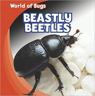 Beastly Beetles