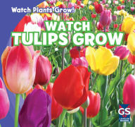 Title: Watch Tulips Grow, Author: Kristen Rajczak
