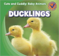 Title: Ducklings, Author: Katie Kawa