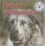 Irish Wolfhounds