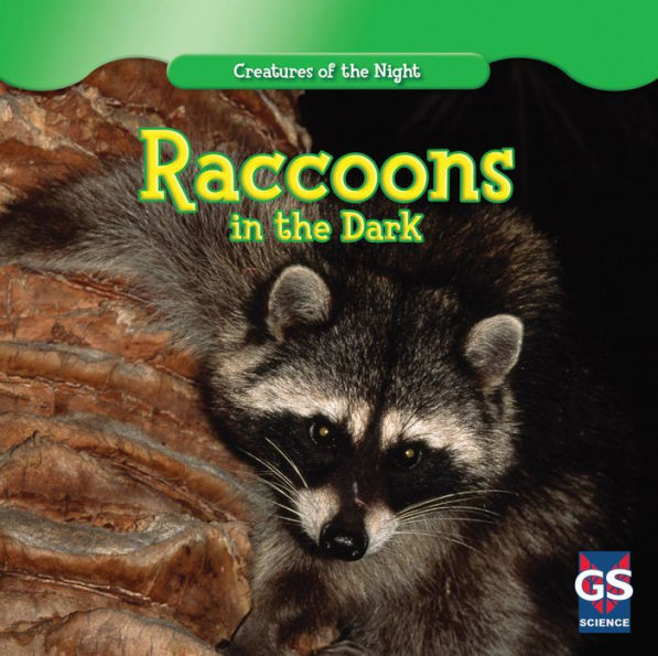Raccoons in the Dark