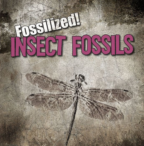 Insect Fossils