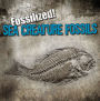 Sea Creature Fossils