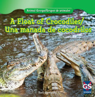 Title: A Float of Crocodiles / Una manada de cocodrilos, Author: Karlie Gambino