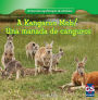 A Kangaroo Mob / Una manada de canguros