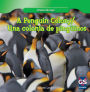 A Penguin Colony / Una colonia de Pinguinos