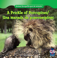 Title: A Prickle of Porcupines / Una manada de puercoespines, Author: Lincoln James