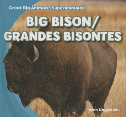 Big Bison / Grandes bisontes