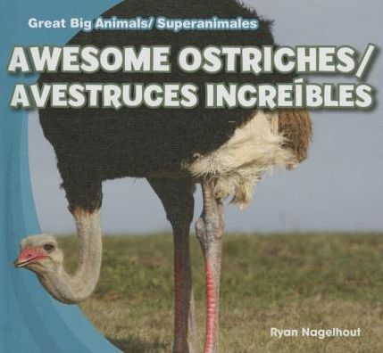 Awesome Ostriches / Avestruces increibles