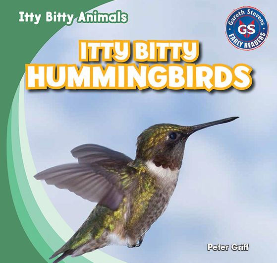 Itty Bitty Hummingbirds