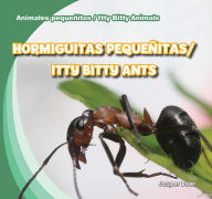 Title: Hormiguitas pequenitas / Itty Bitty Ants, Author: Jasper Baer