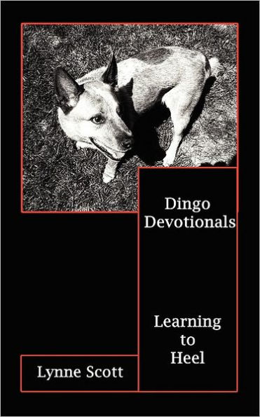 Dingo Devotionals: Learning to Heel