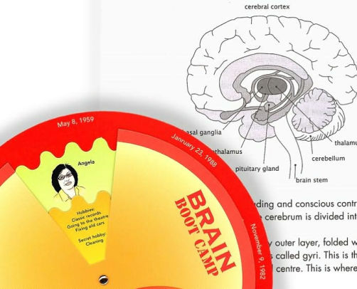 Brain Boot Camp by Tony Buzan, Other Format | Barnes & Noble®
