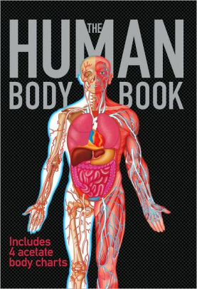 drawing the human body book