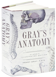Title: Gray's Anatomy: Classic Illustrated Edition, Author: Henry Gray