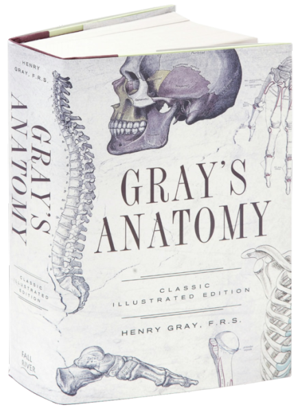 Gray's Anatomy: Classic Illustrated Edition