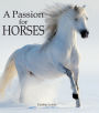 A Passion for Horses