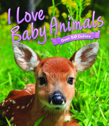 I Love Baby Animals by QED Publishing, Paperback | Barnes & Noble®