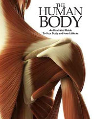 Title: The Human Body: An Illustrated Guide to Your Body and How It Works, Author: Amber Books