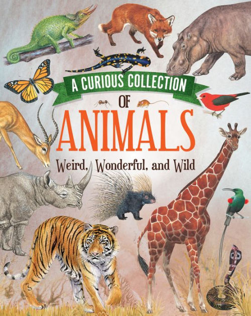 Curious Collection of Animals by Quarto Books, Hardcover | Barnes & Noble®