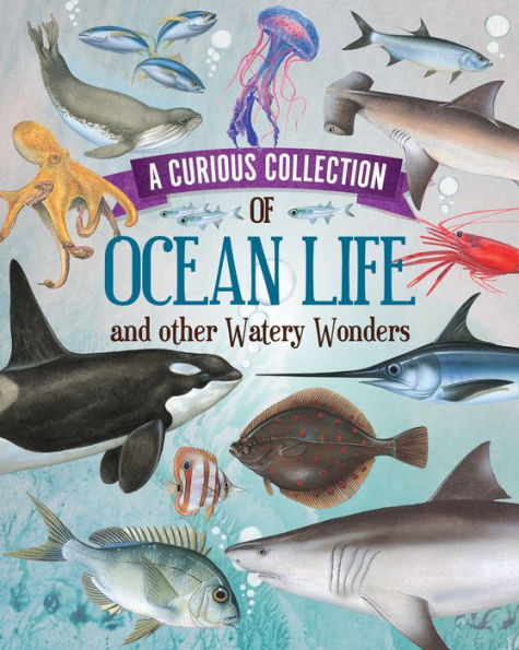 Curious Collection of Ocean Life