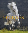 Enchanting Horses